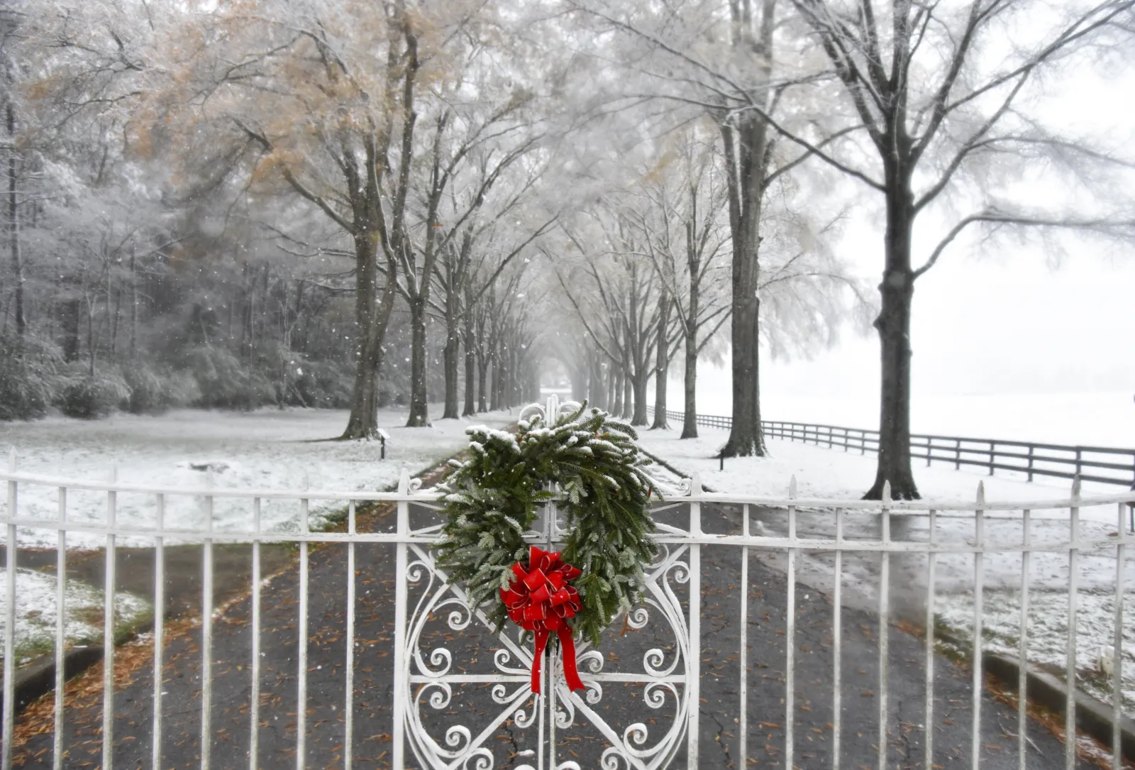 a wreath on a fence