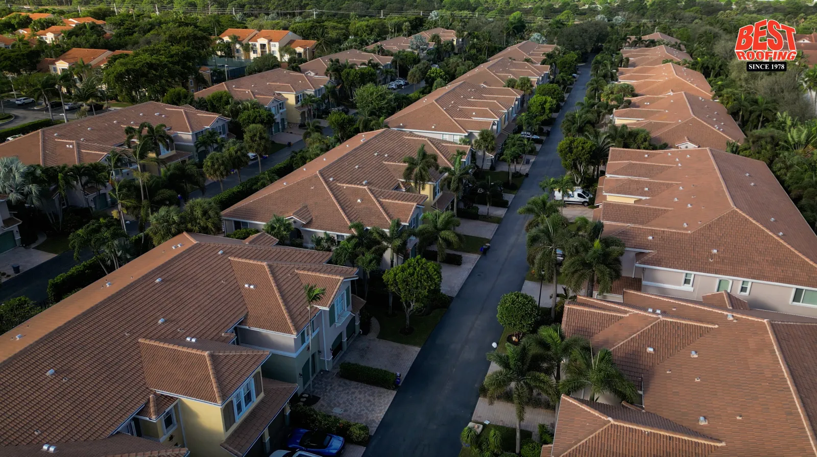 tile roof inspection