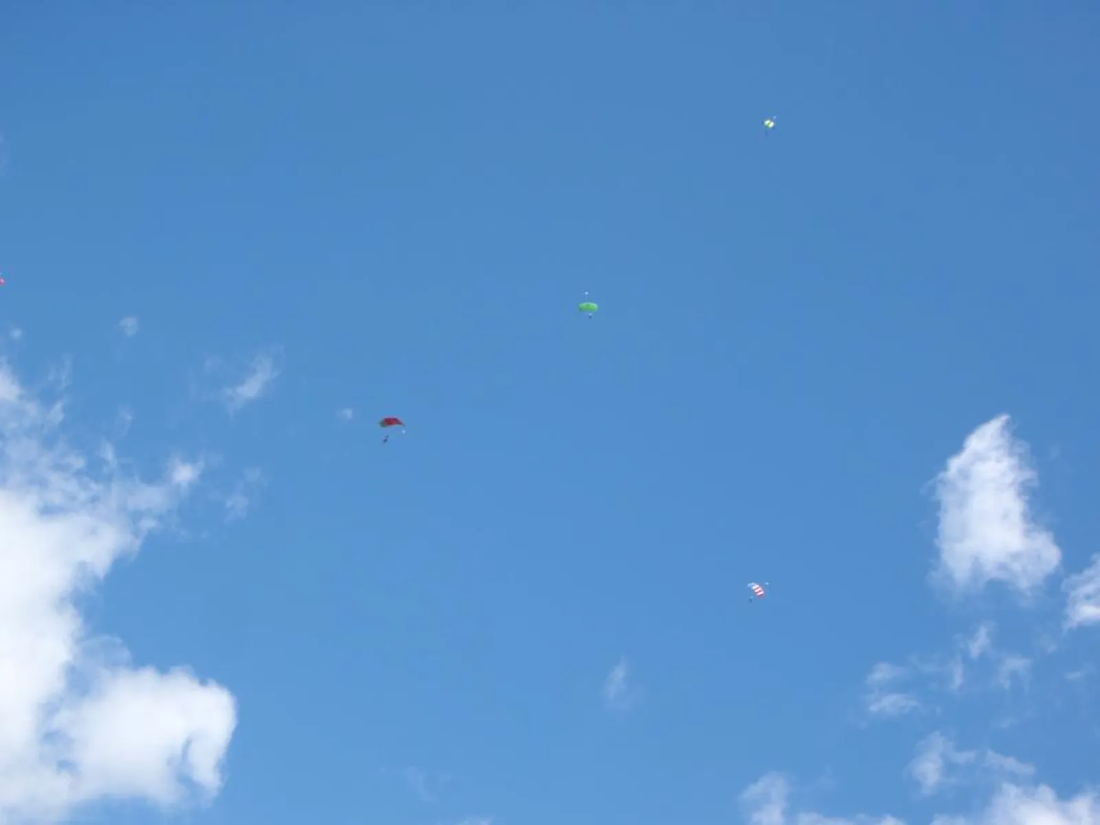 a group of people sky diving