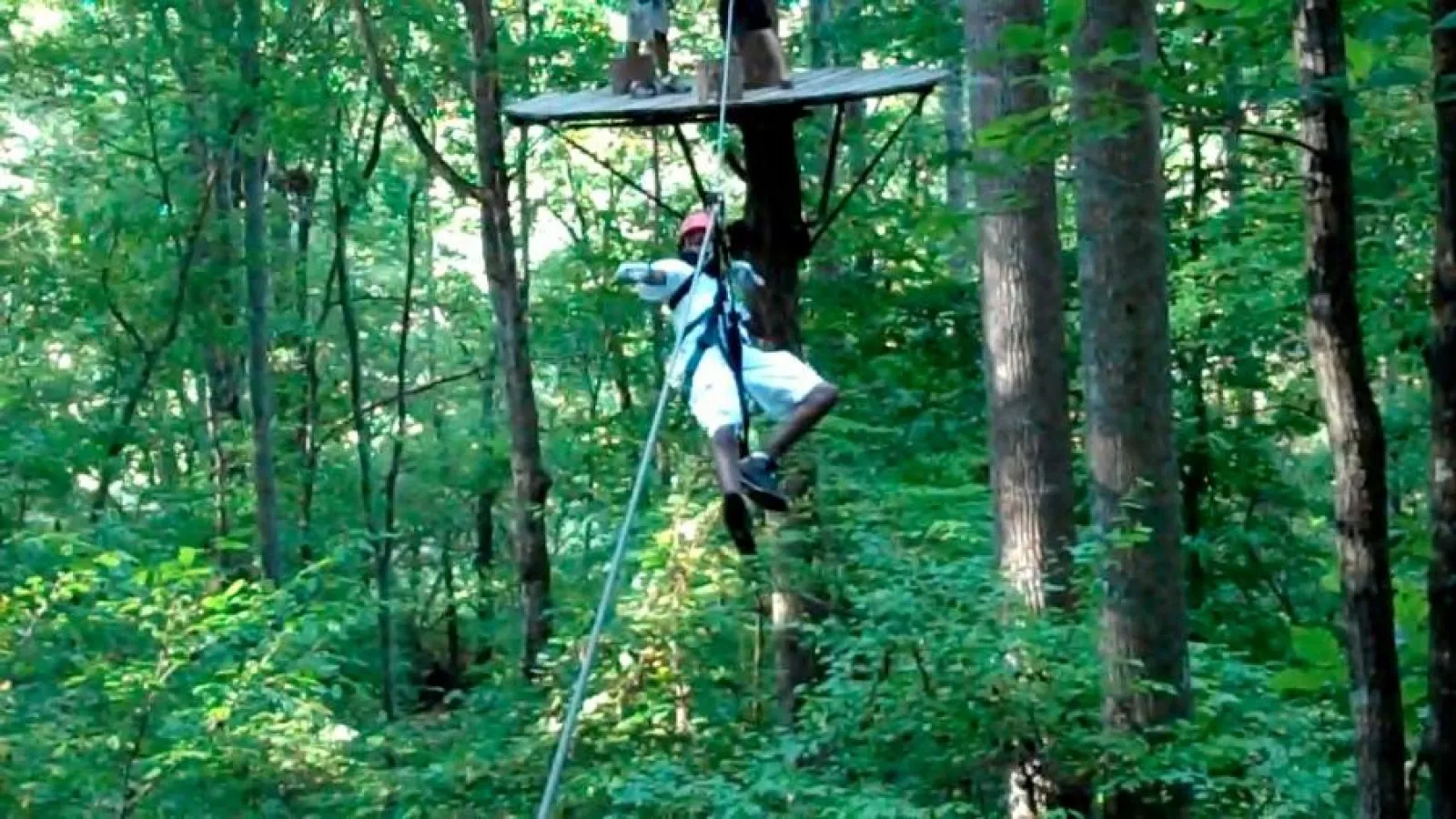 a person on a zip-line in the forest