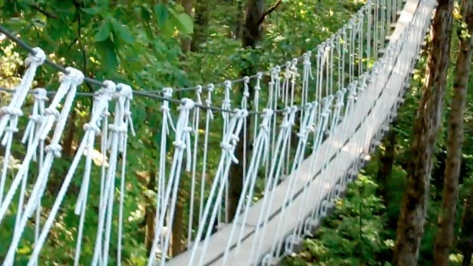 a close up of a bridge in the forest