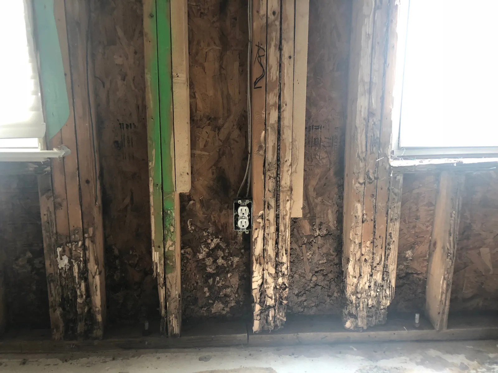 termite damage in basement wood studs