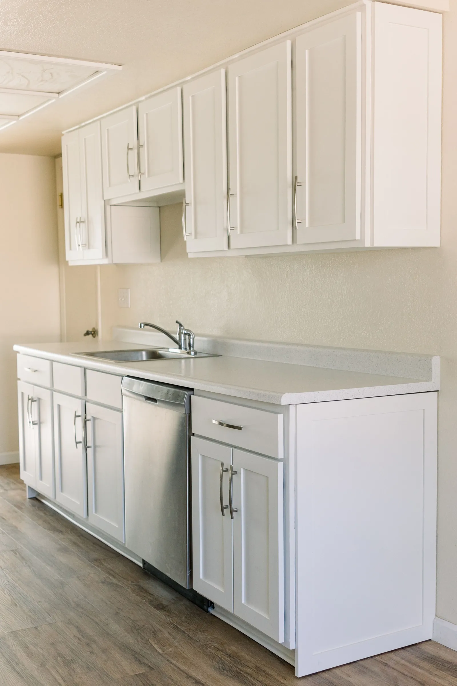Modern white kitchen cabinets with stainless steel dishwasher and light wooden flooring in bright room