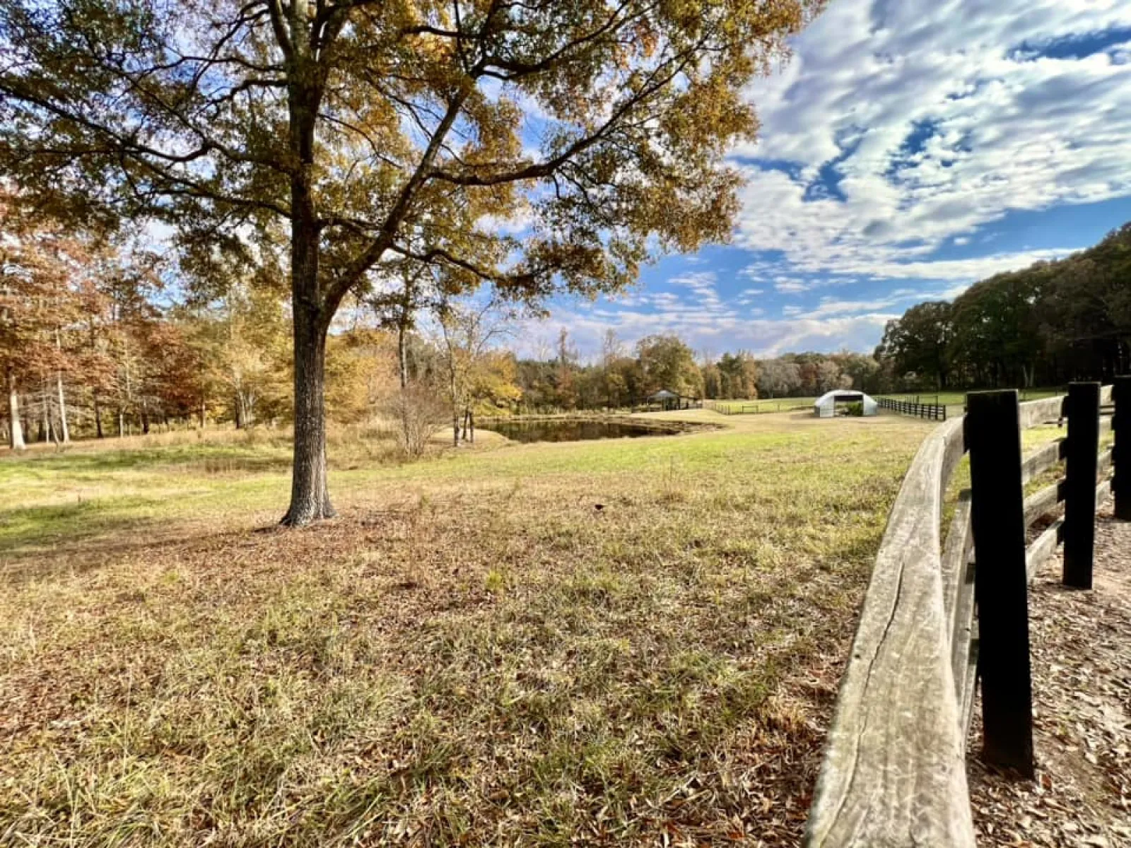 a fenced in field with trees and a car parked in the distance