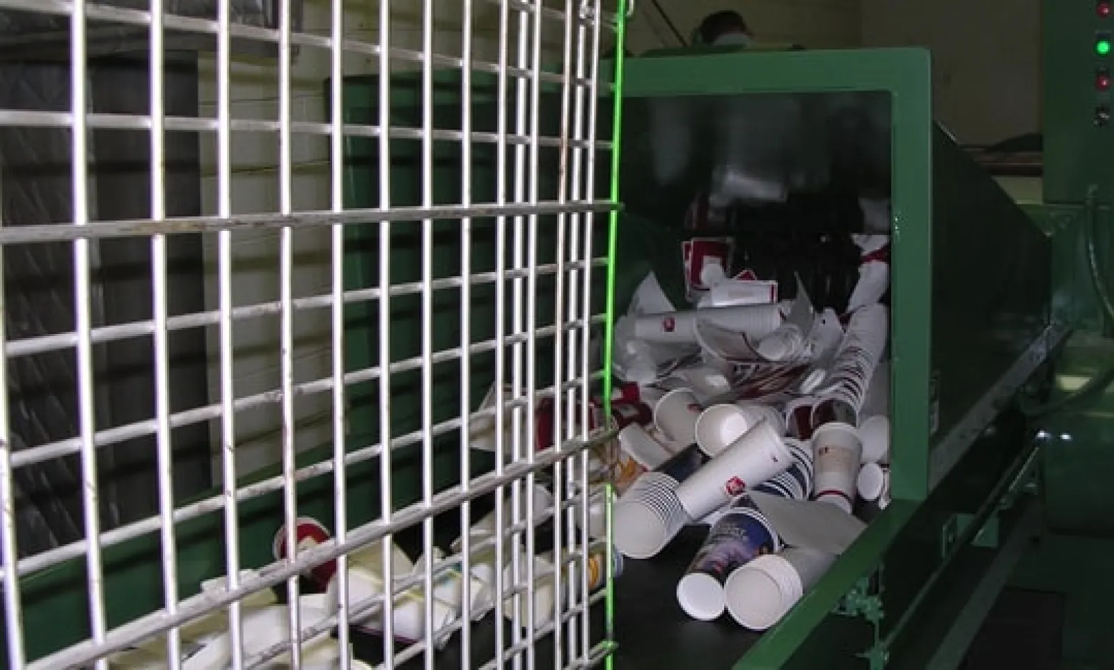 Disposable cups entering a green recycling machine conveyor belt behind a metal safety grid