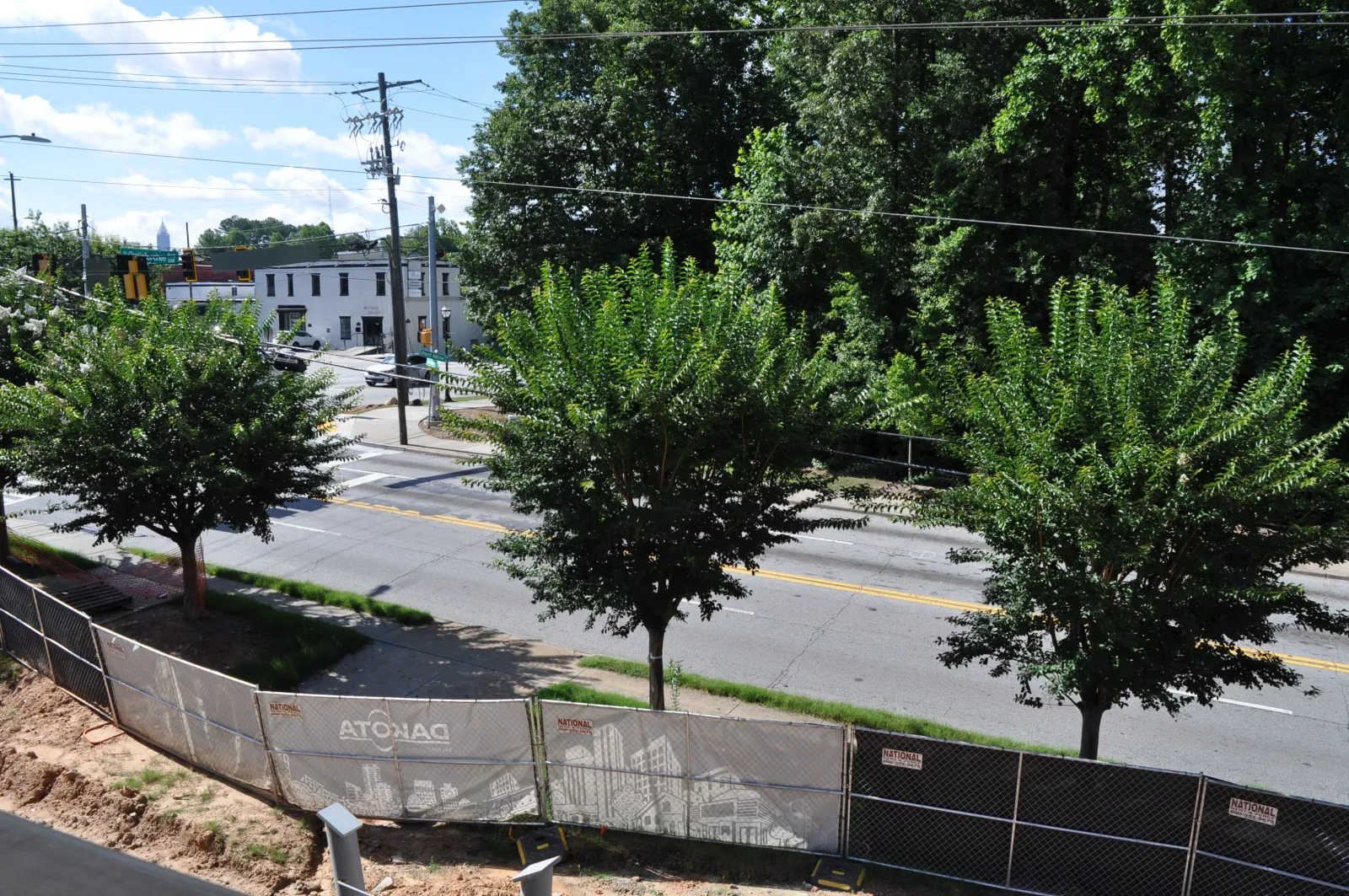 Street view with three leafy trees along road, construction fencing in foreground, and buildings under clear blue sky.