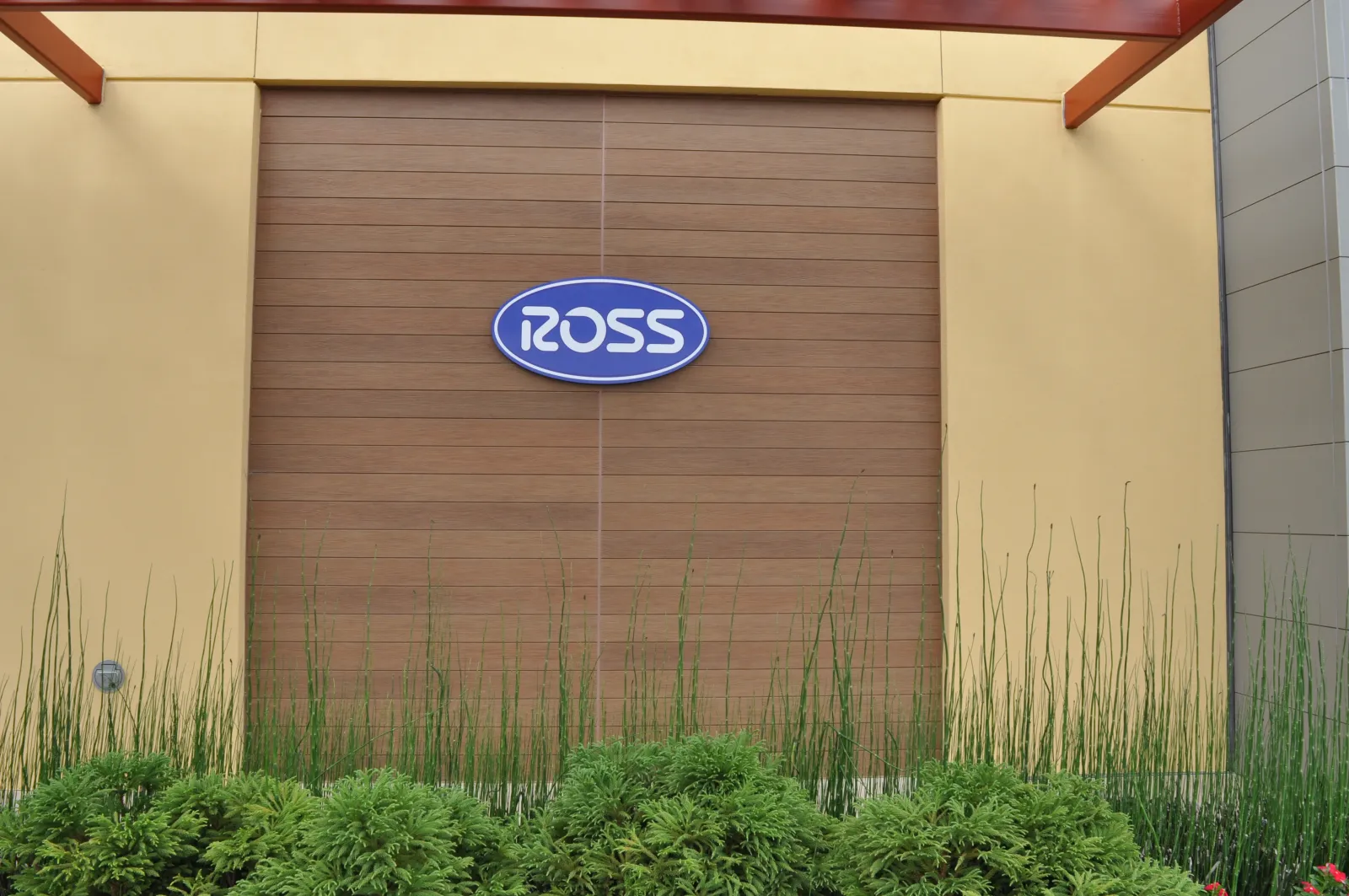 Ross store sign mounted on wooden panel wall with surrounding beige walls and greenery below the sign