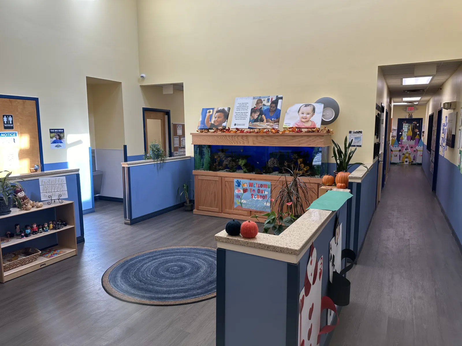 Bright school hallway with a large aquarium, colorful decorations, and visible classroom doors and corridor.
