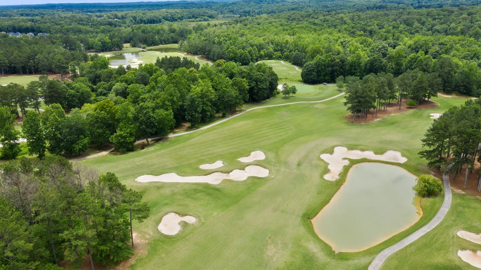 an overhead view of The Frog golf course