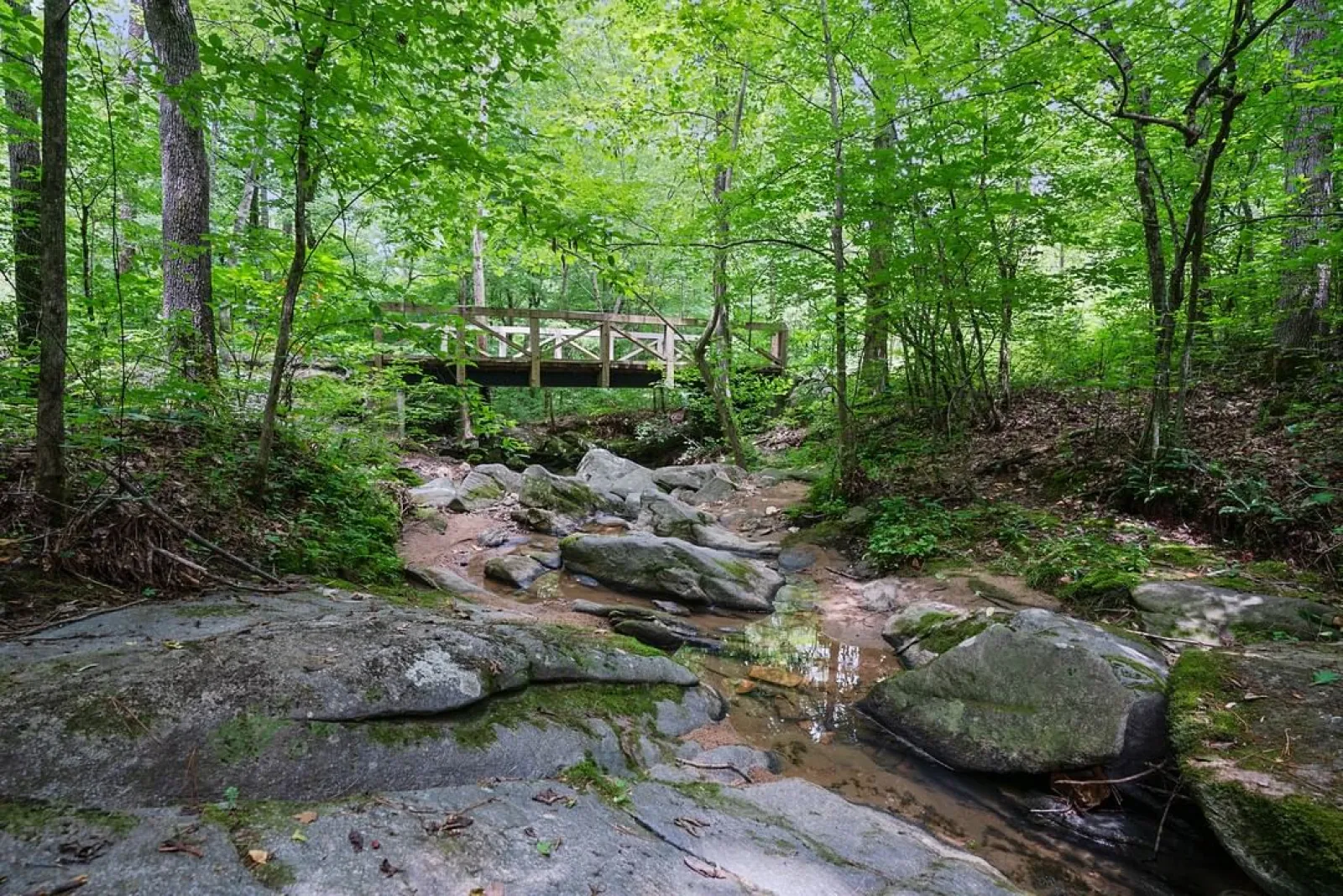 Nature trail at NatureWalk at Seven Hills in Dallas GA