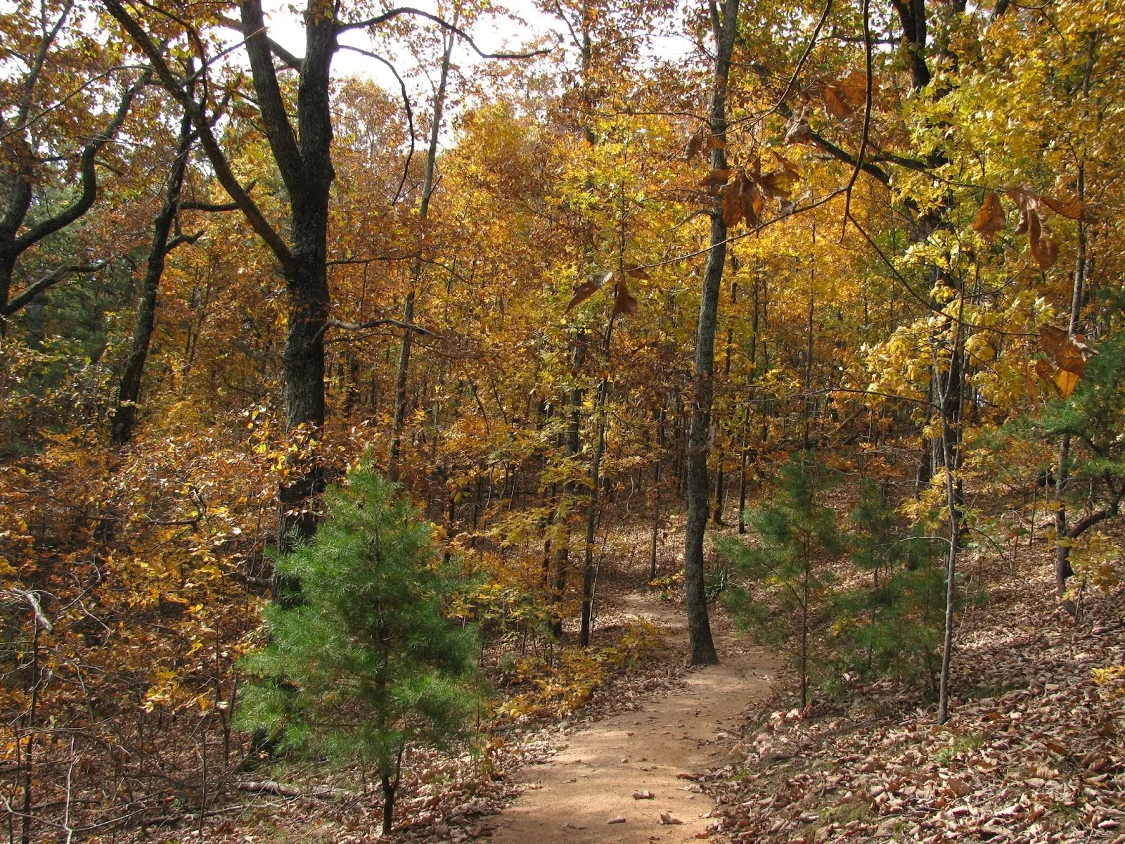 Sawnee Mountain Preserve