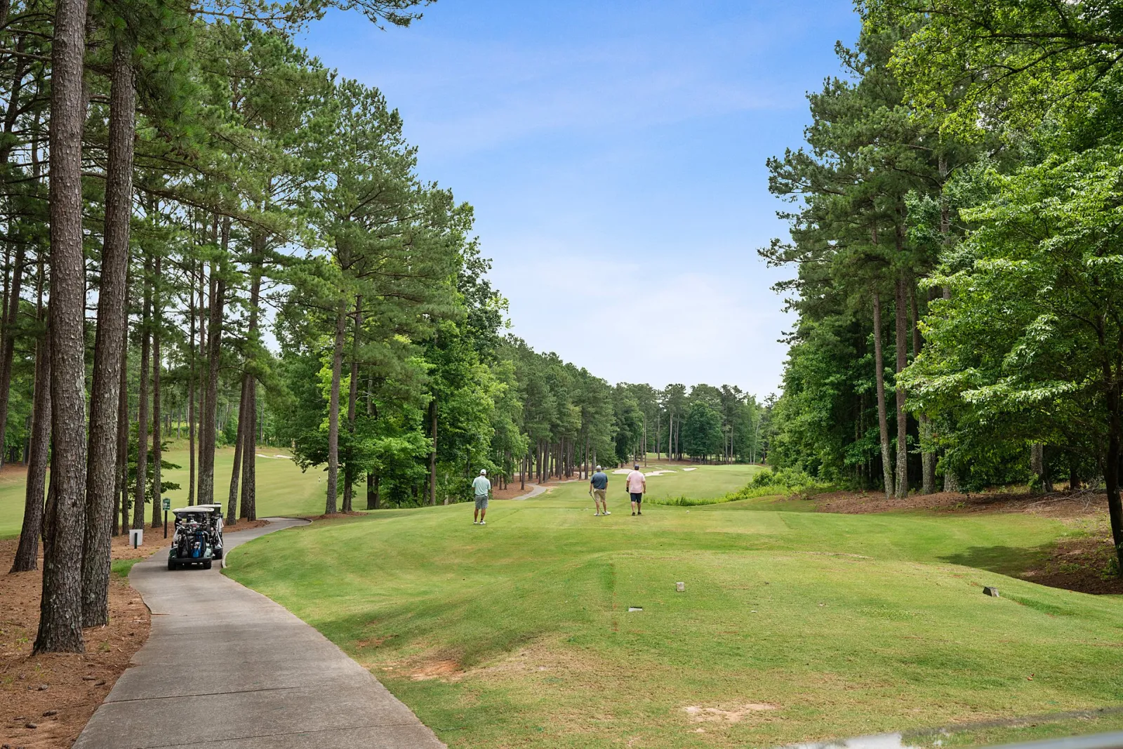 a group of people looking at the green of the golf course