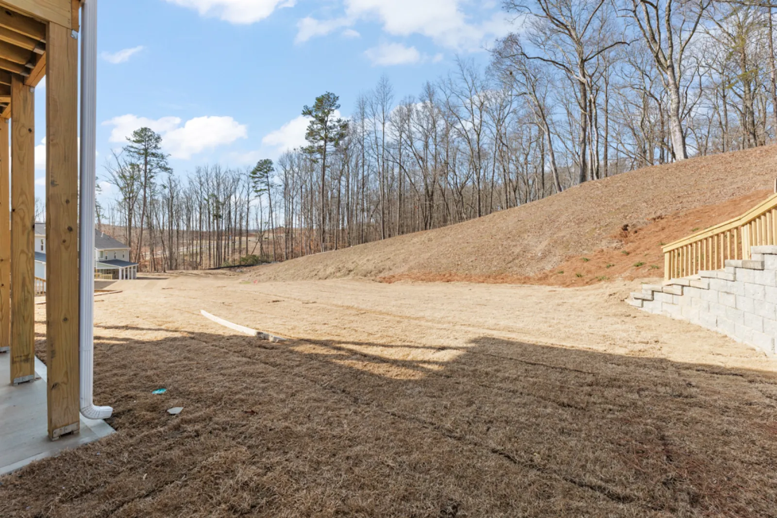 a dirt hill with trees on it