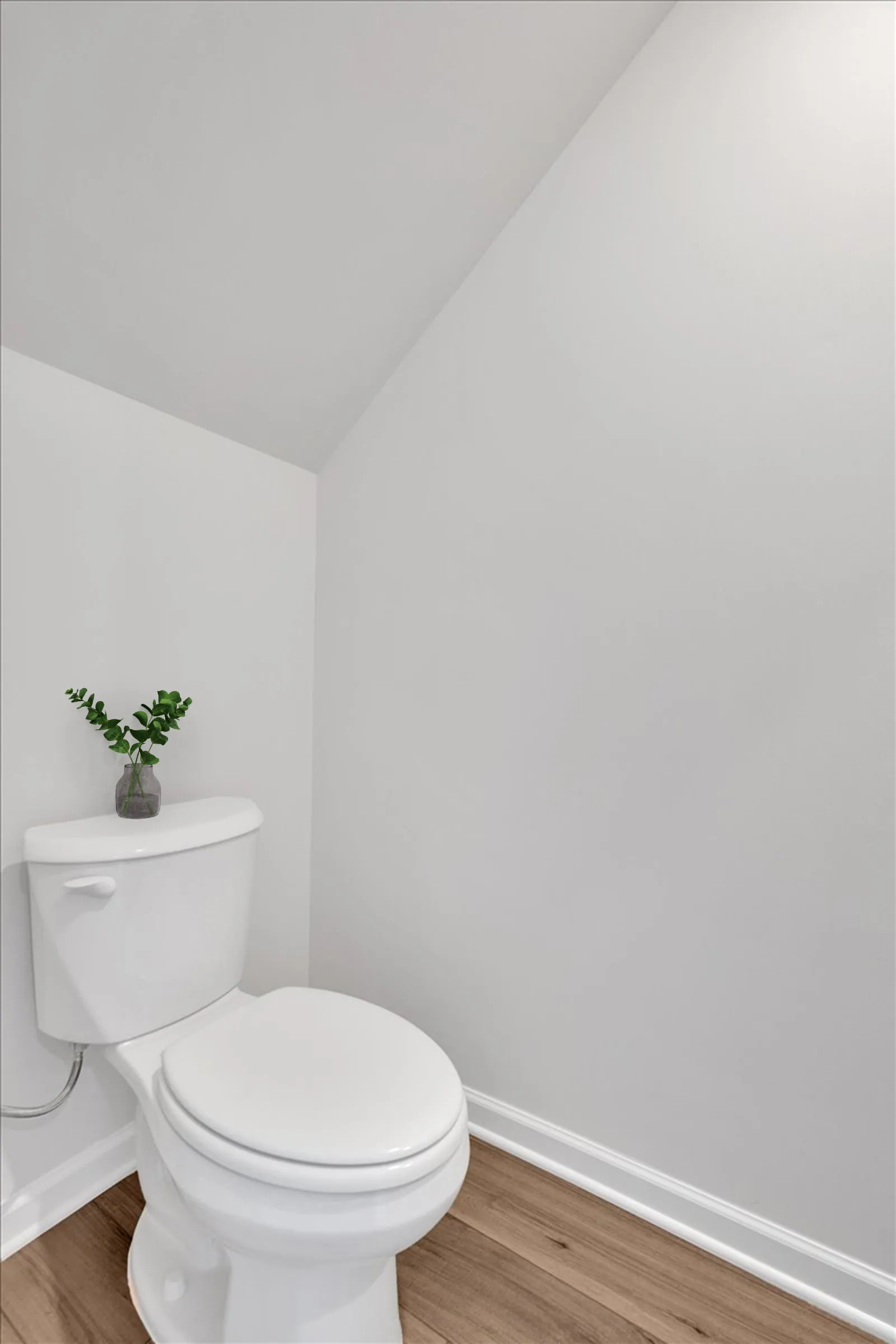 White toilet with a small green plant on tank against plain white walls and wood flooring in a minimalist bathroom.