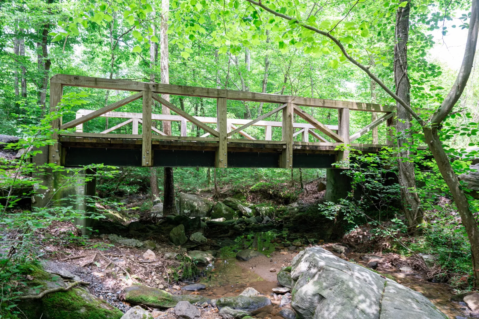 a bridge going over a creek at NatureWalk
