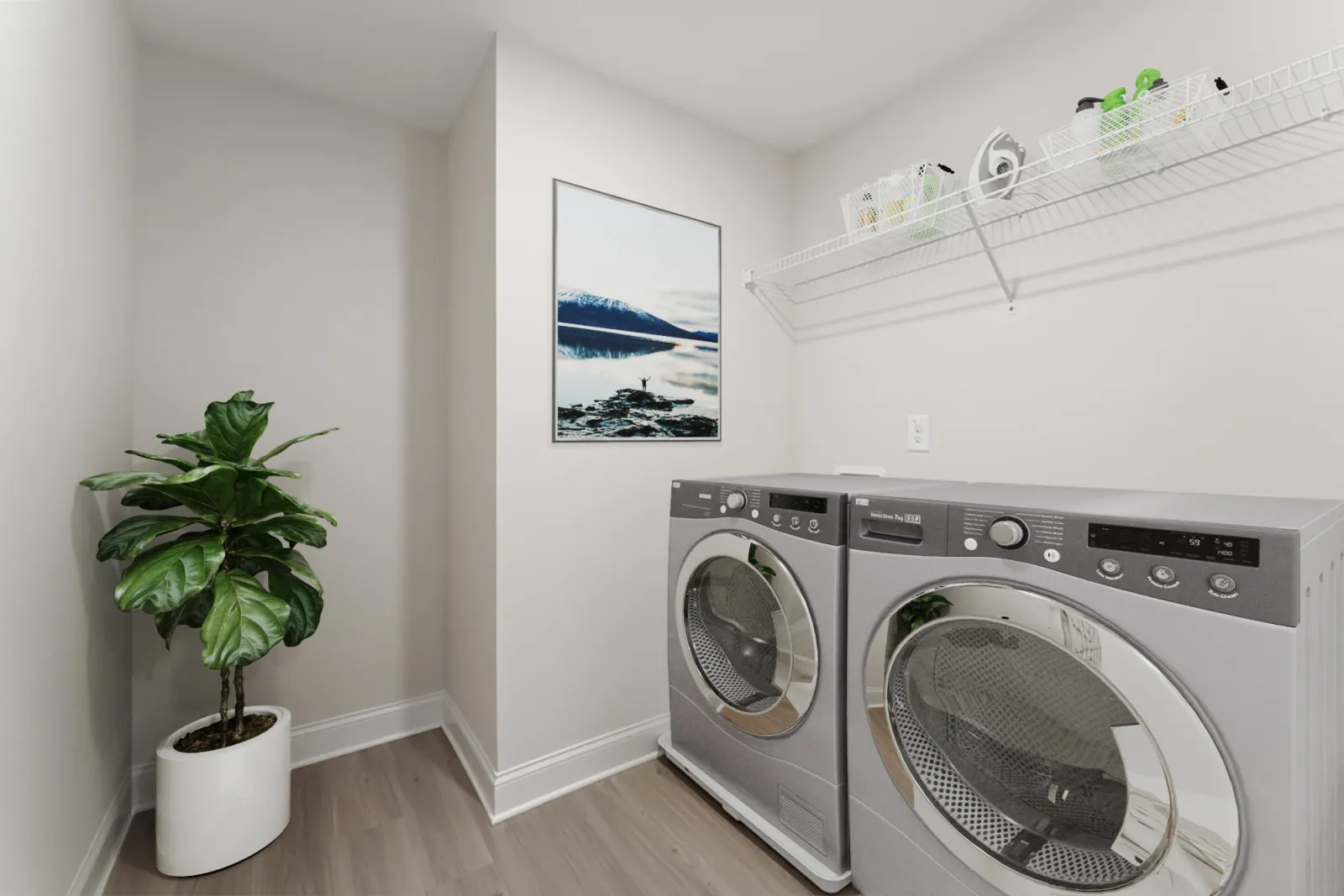 a room with a washing machine and a plant