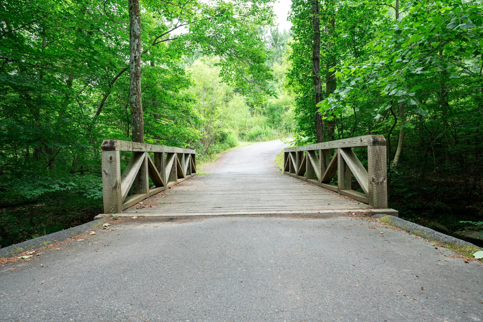 Wooden bridge over a stream in a lush green forest with a winding paved path in the background.