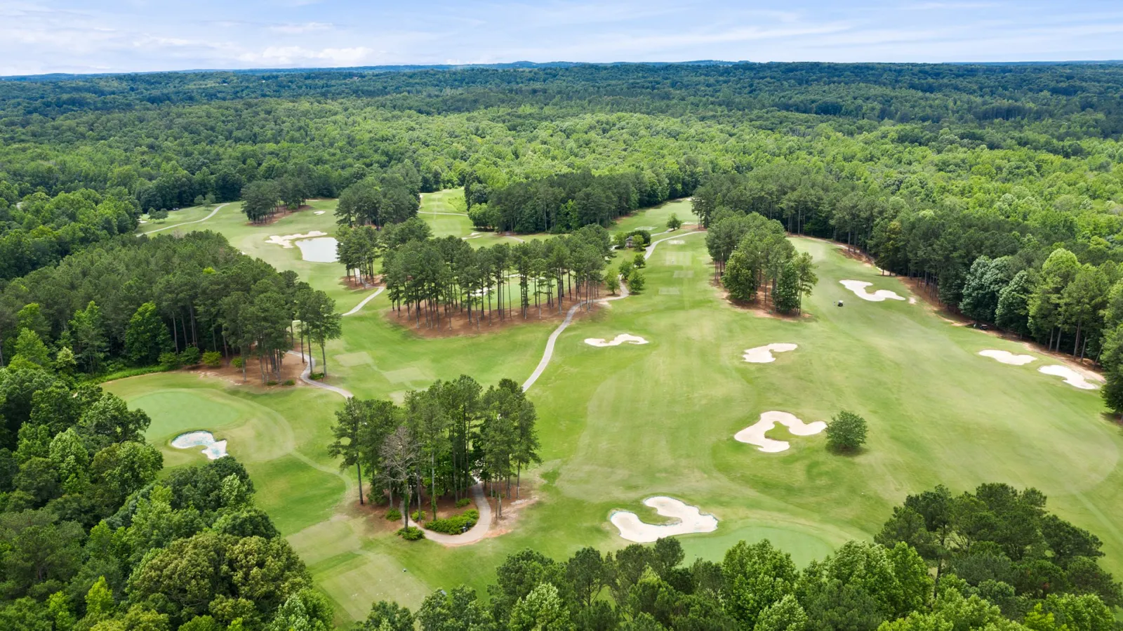 a view of the trees and bunkers at The Frog at The Georgian