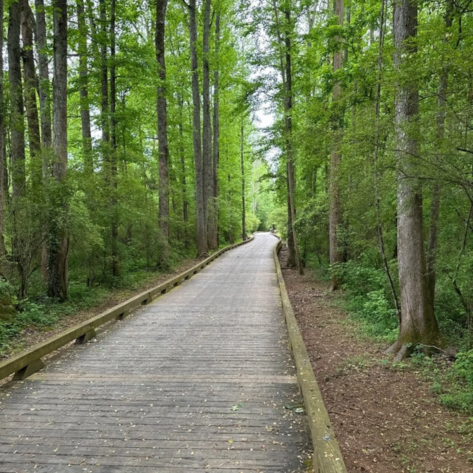 Big Creek Trailway (6.8 miles)