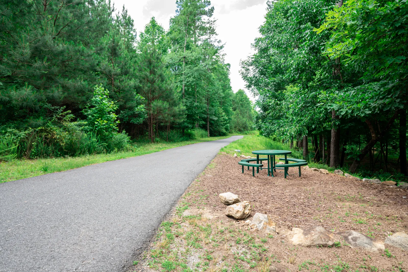 Asphalt trail through dense green forest with a picnic table on the right side under trees.