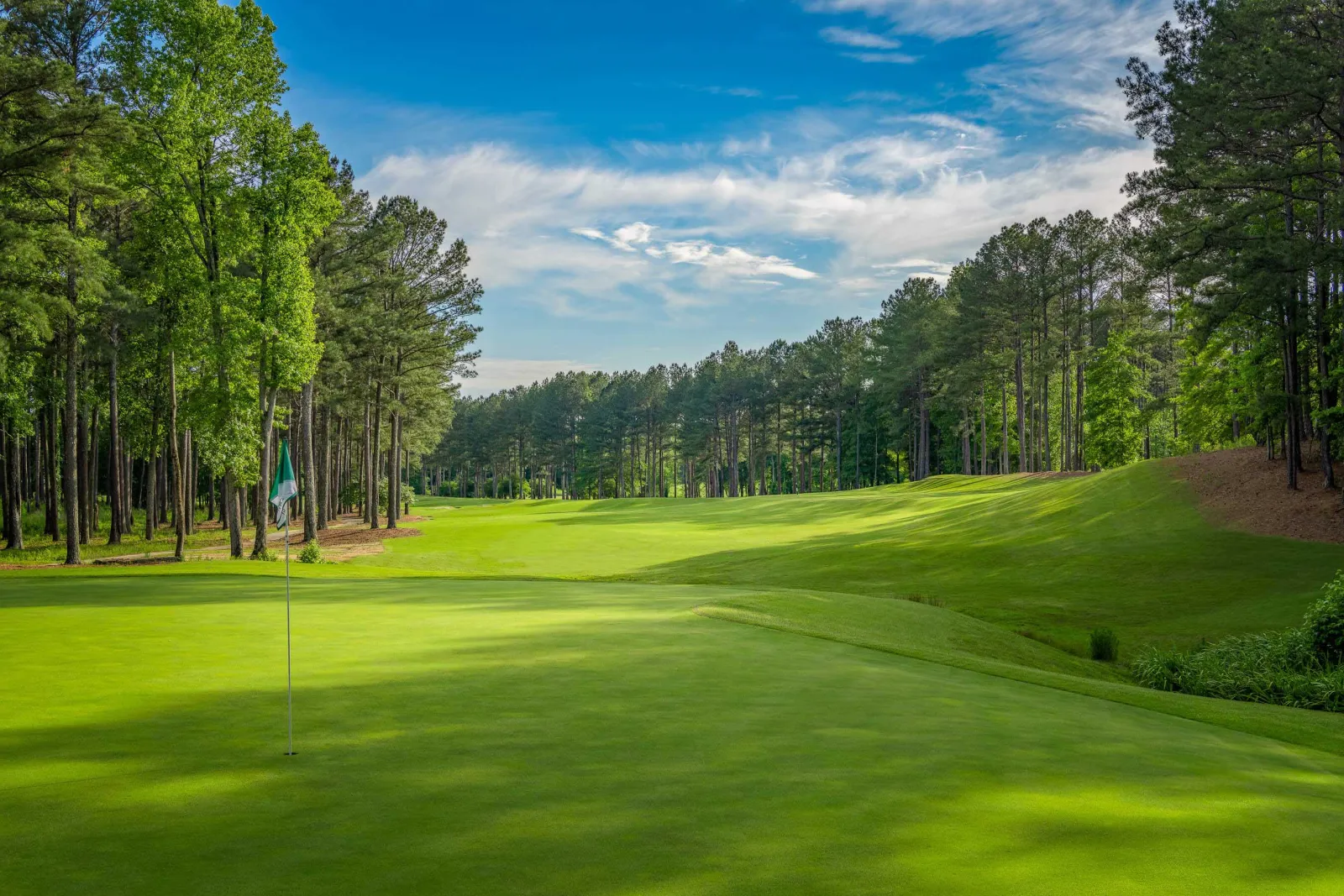 Sunny golf course green surrounded by tall trees under a blue sky with scattered clouds.