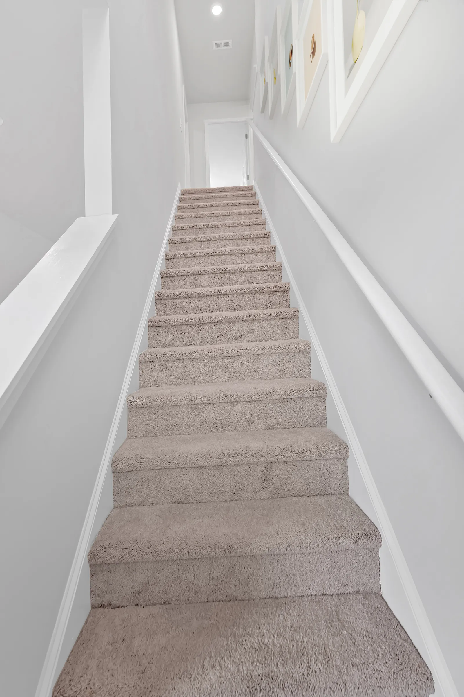 Light and airy carpeted staircase leading to a bright hallway with framed art.
