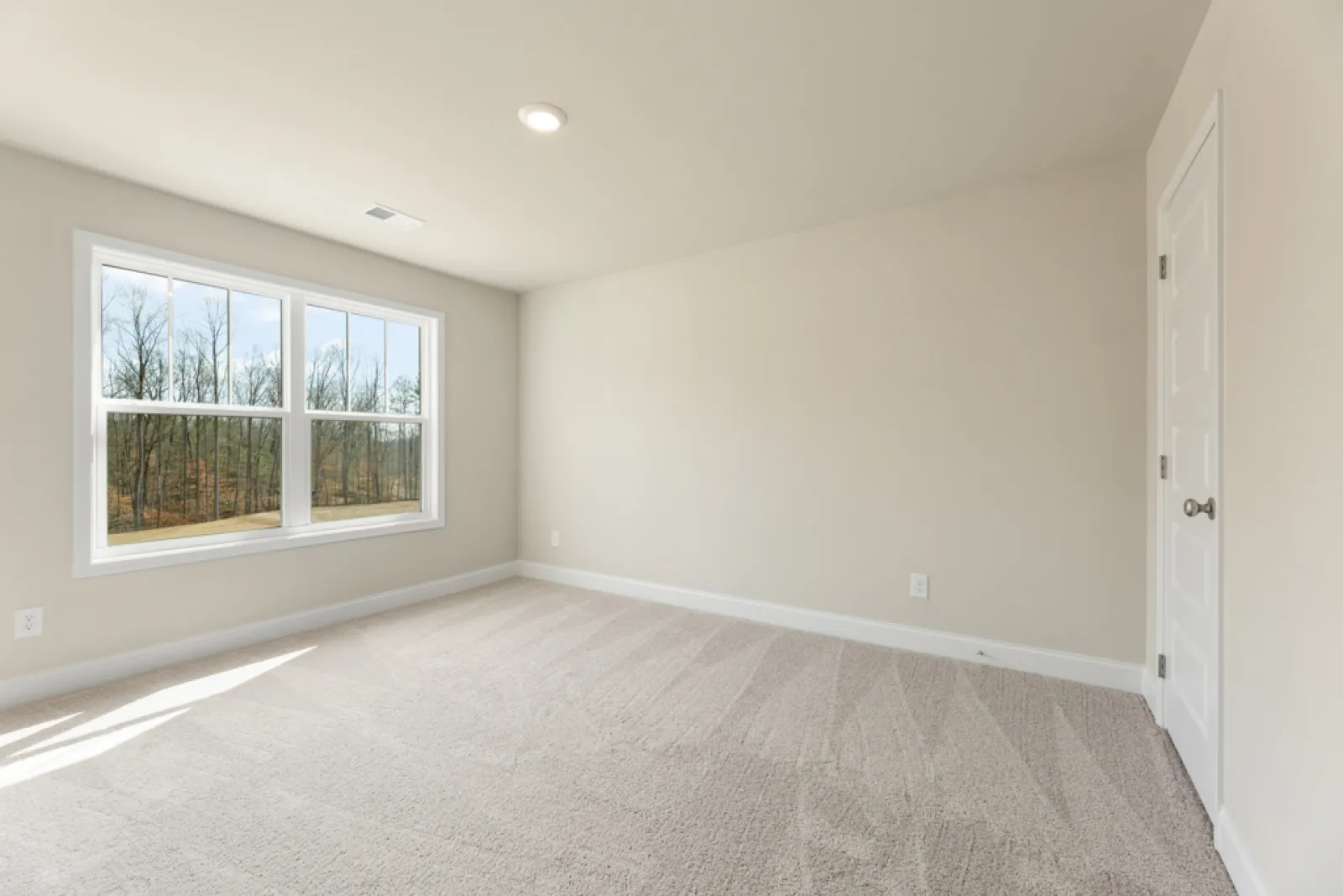 a room with a carpet and a window