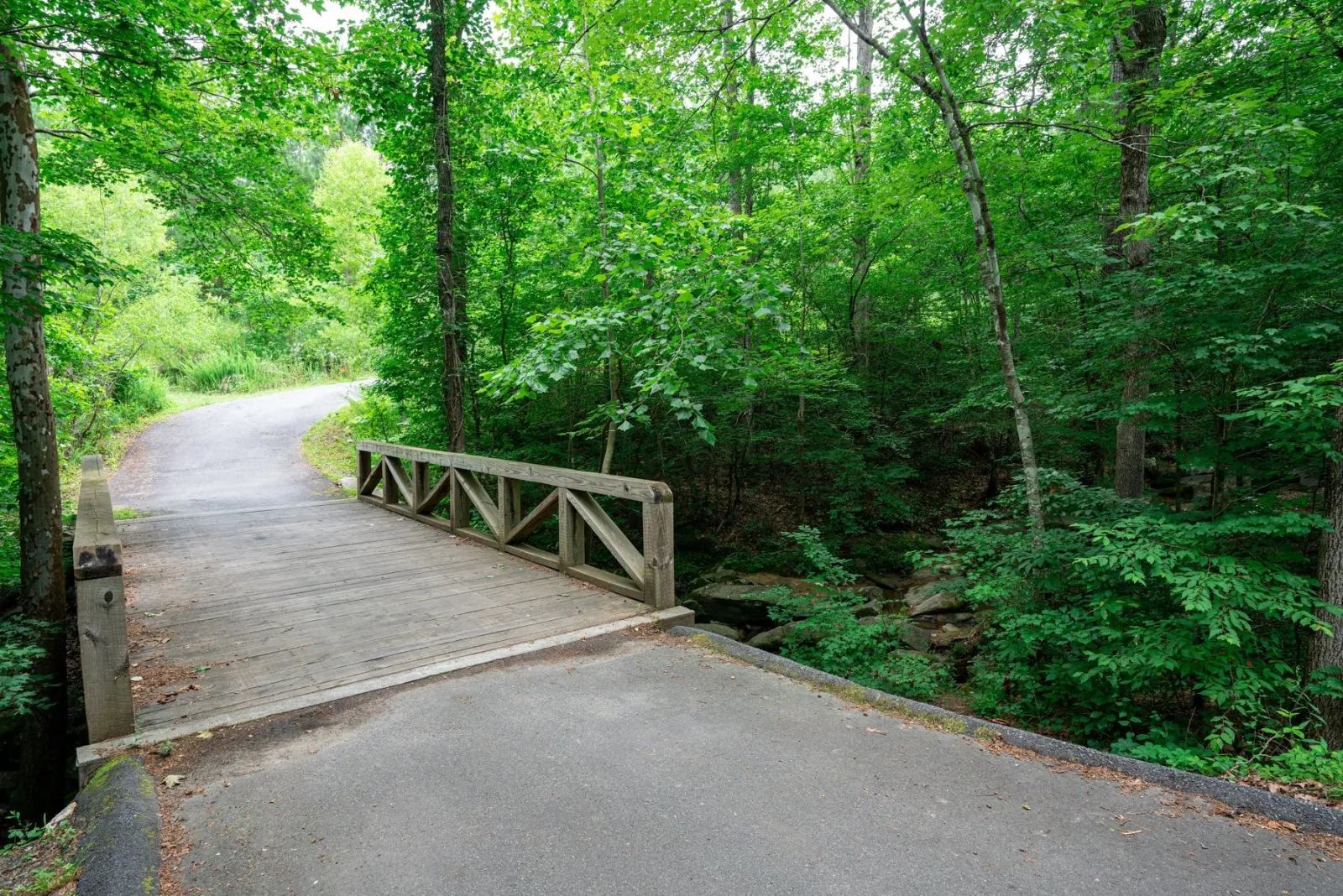 Nature trail at NatureWalk at Seven Hills in Dallas GA