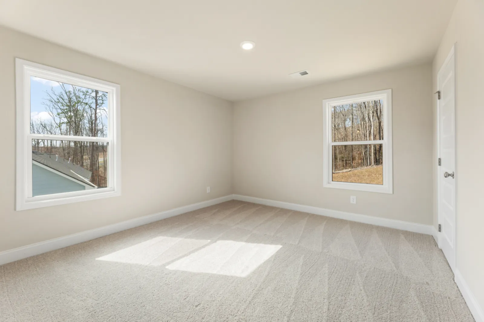 a room with a rug and windows