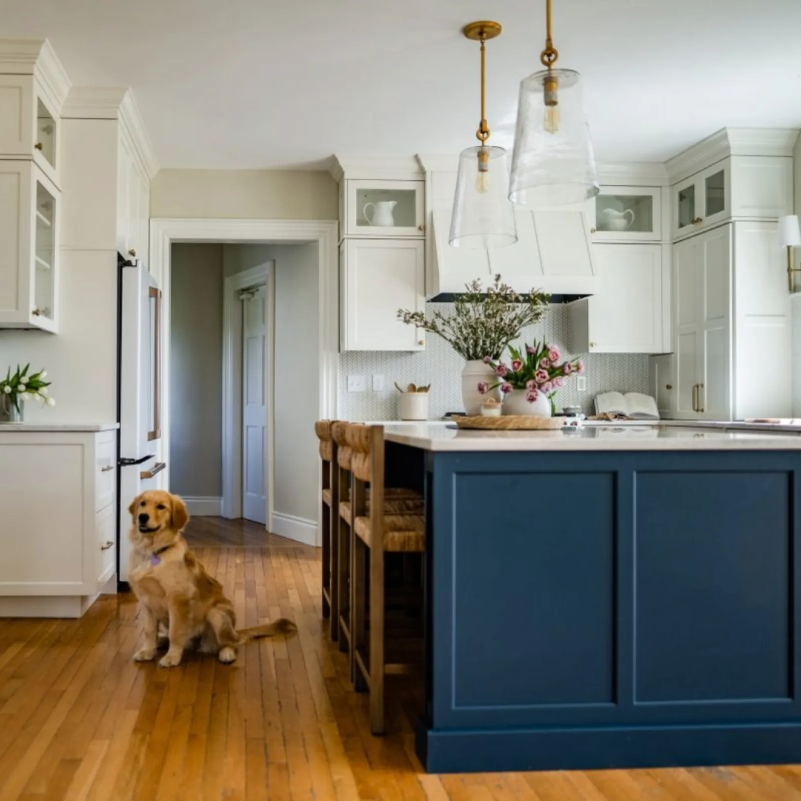 a dog sitting in a kitchen