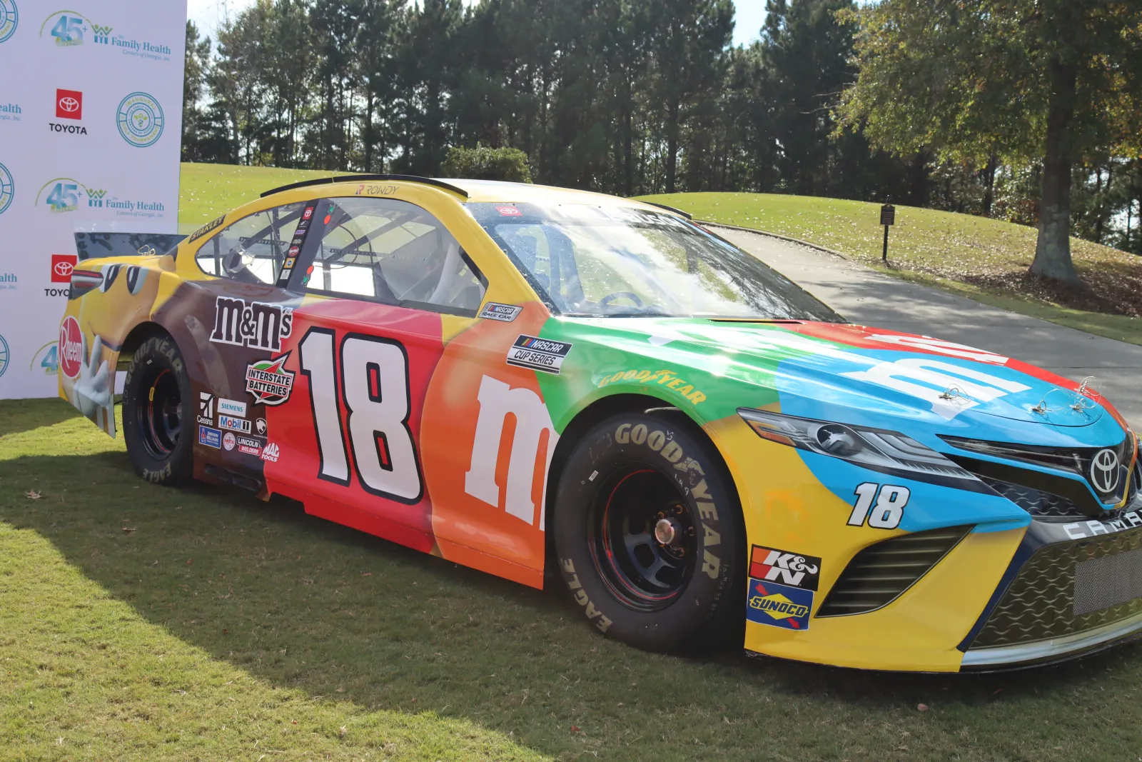 a race car parked on grass