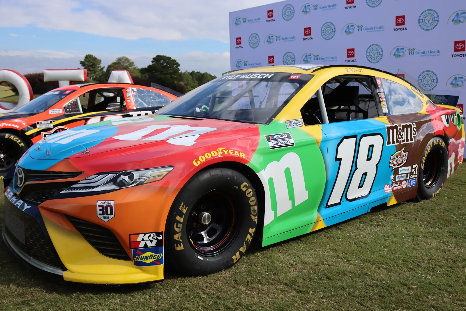 a race car parked on grass