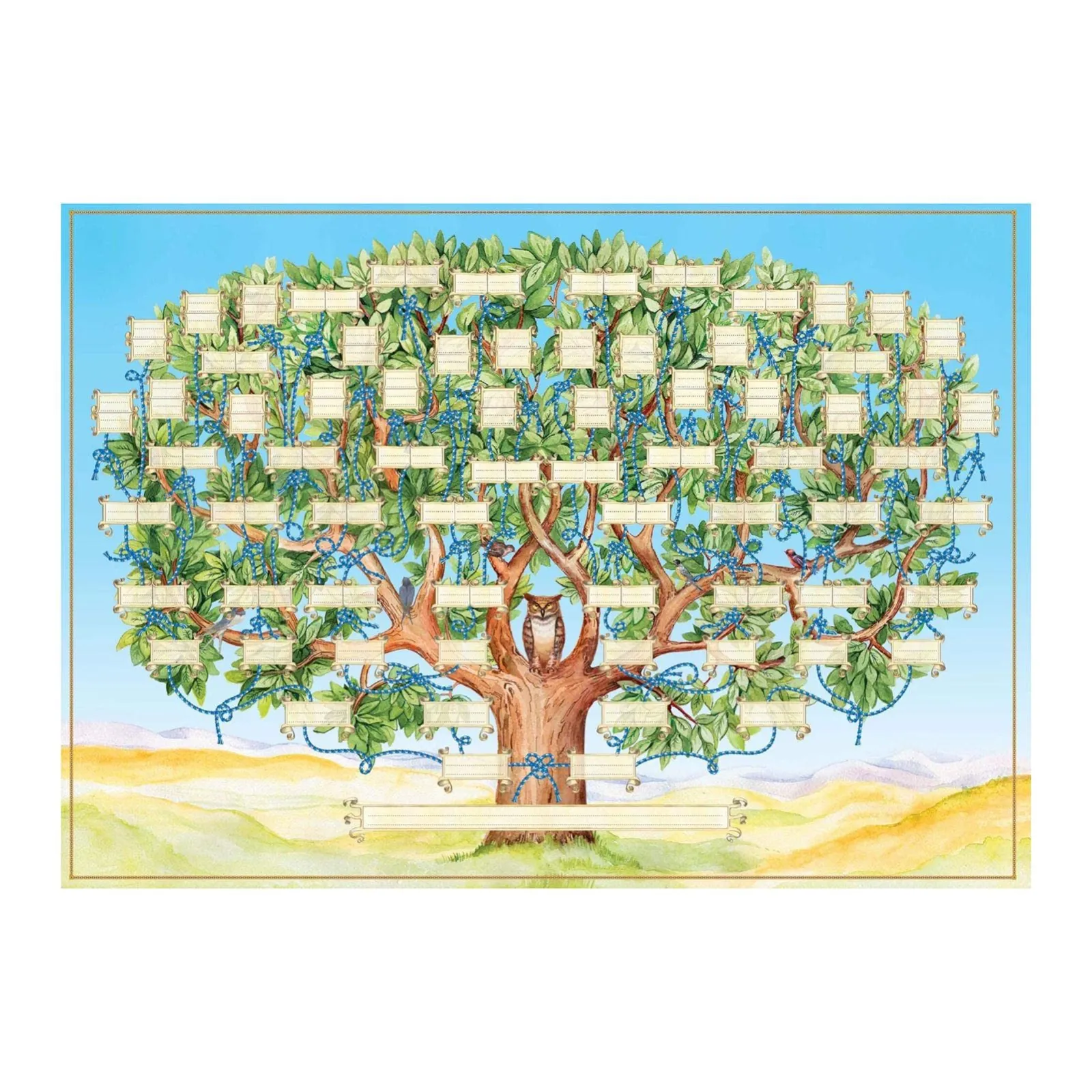 Buy Ancestry Book Template Family Tree Family History and