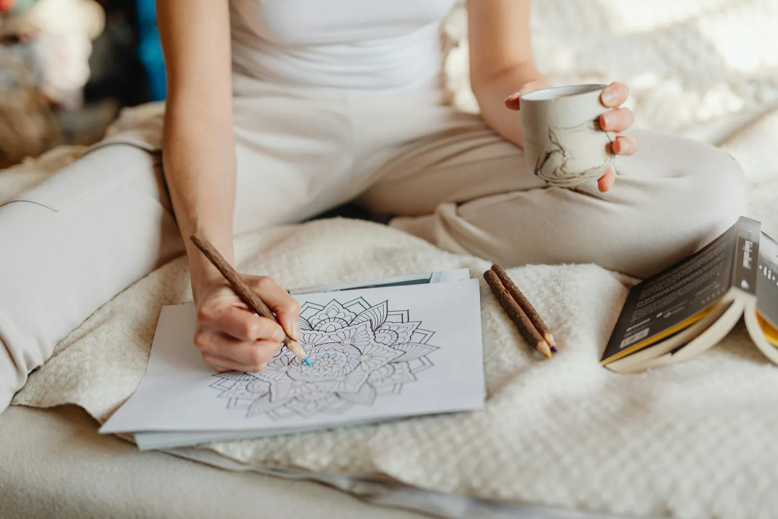 adult coloring book