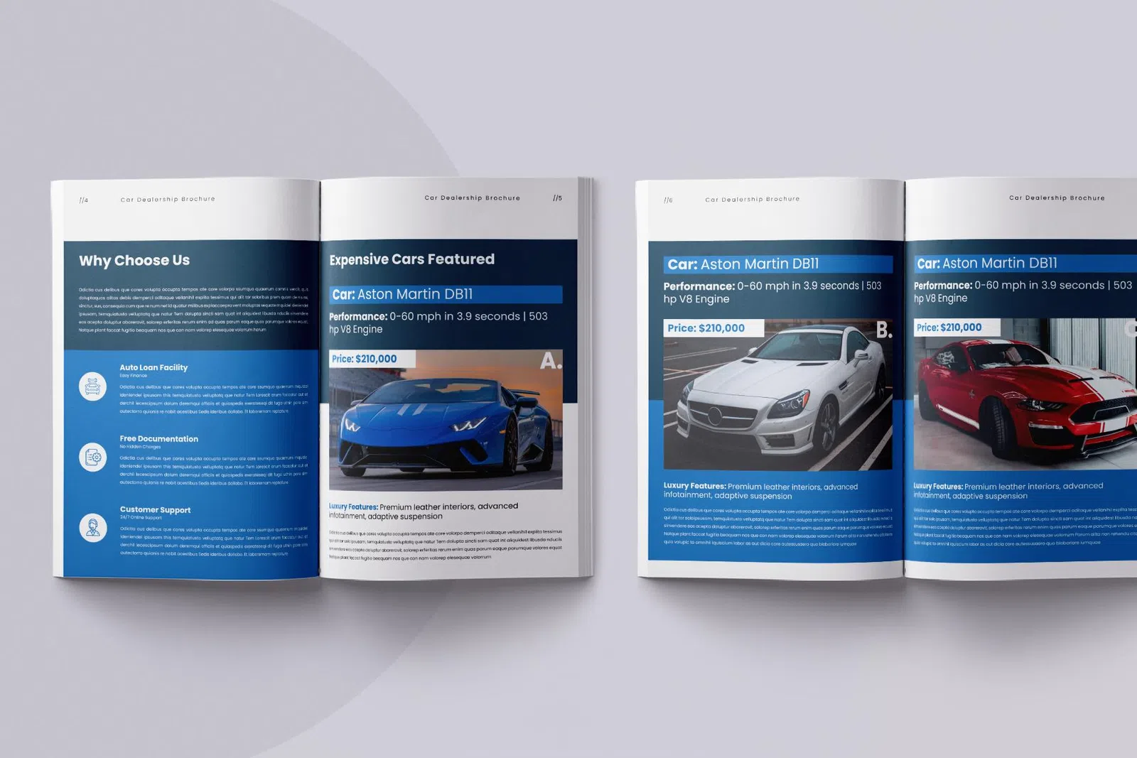 catalogs and manuals