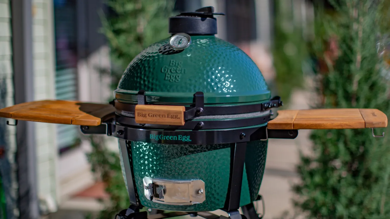 a Big Green Egg