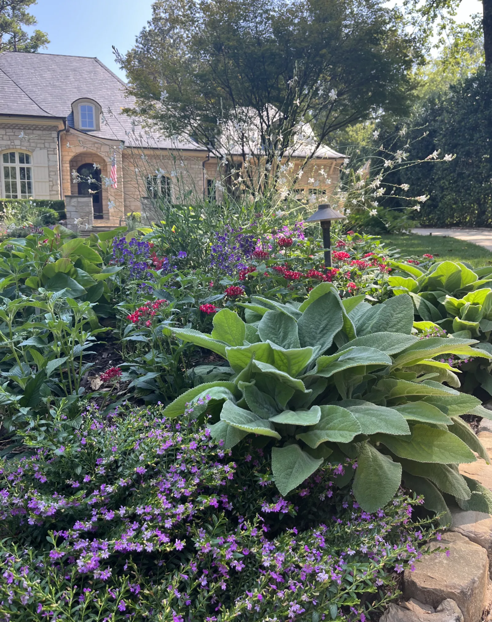 a garden with flowers and trees