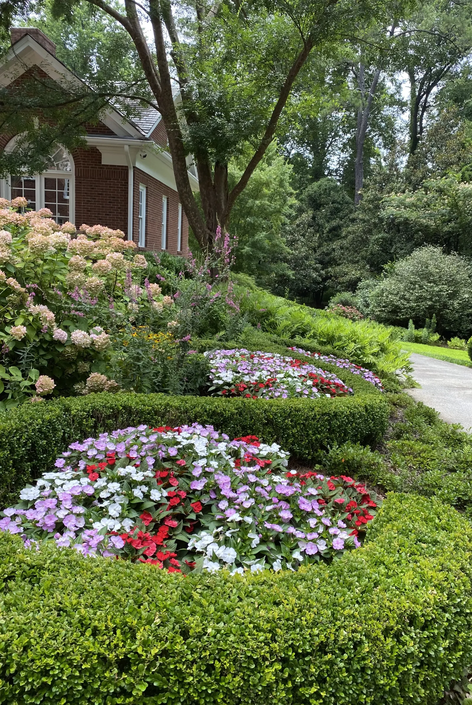 a garden with flowers and trees