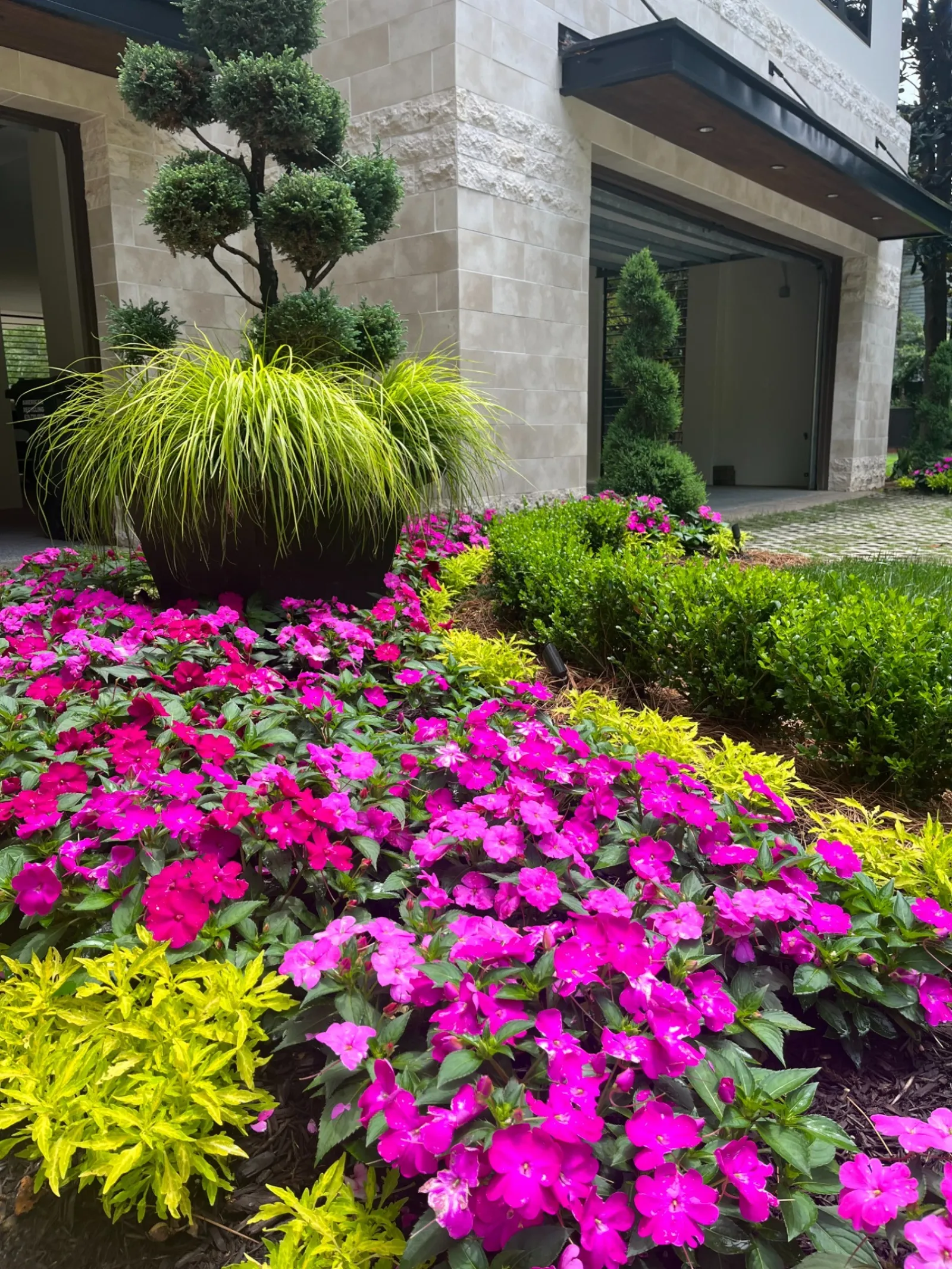 Modern garden with bright pink flowers, ornamental grass in a pot, shaped shrubs, and beige stone house exterior.