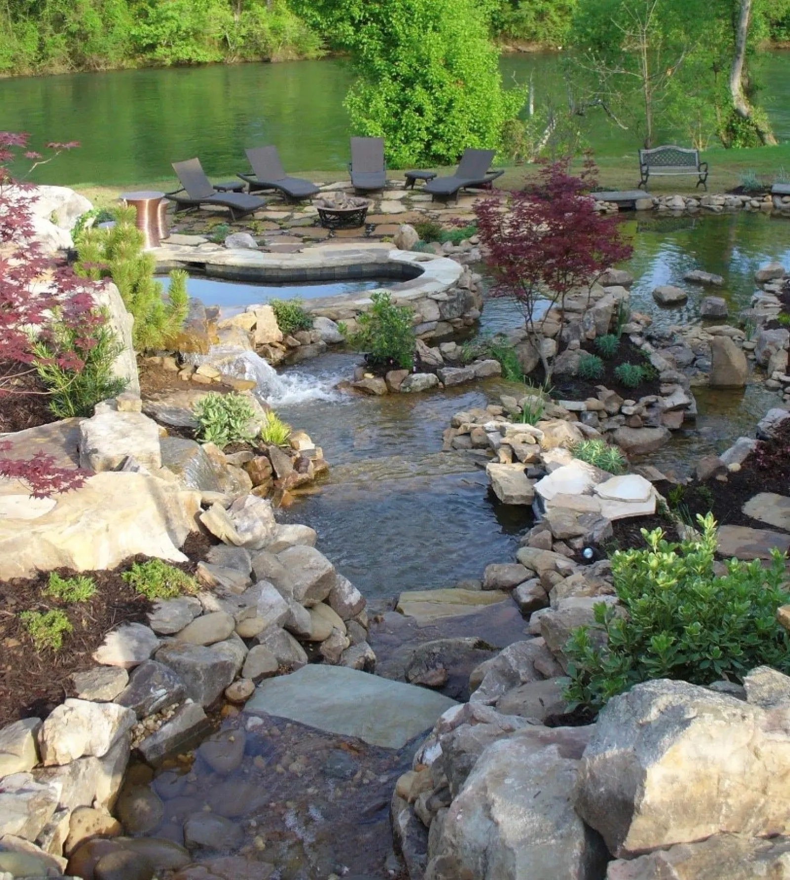 a pond with rocks and plants