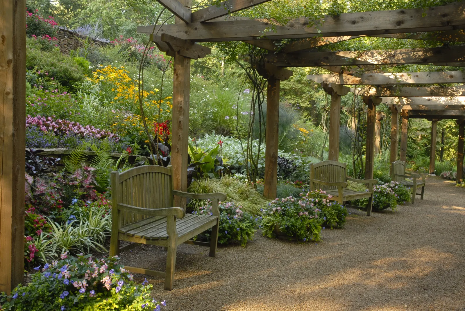 a garden with chairs and flowers