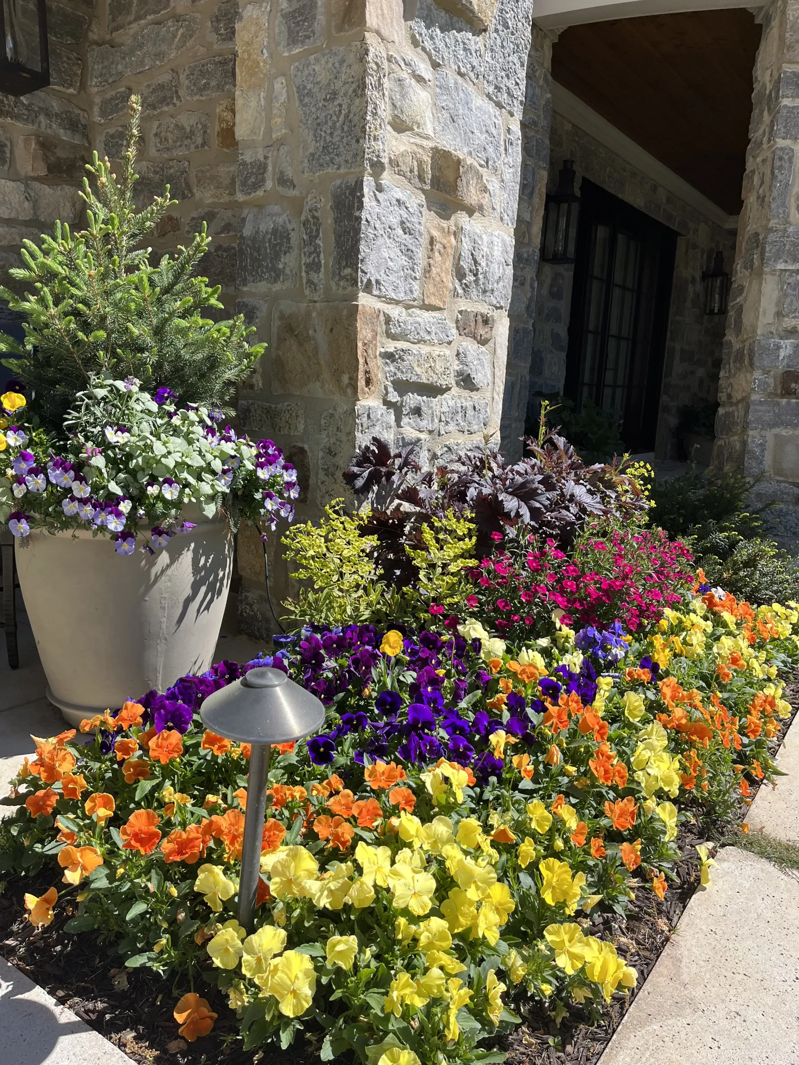 a garden of flowers