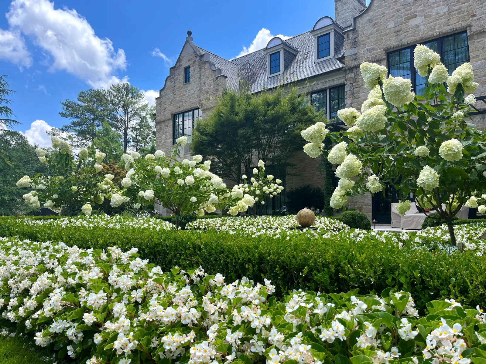 a garden of white flowers in front of a building