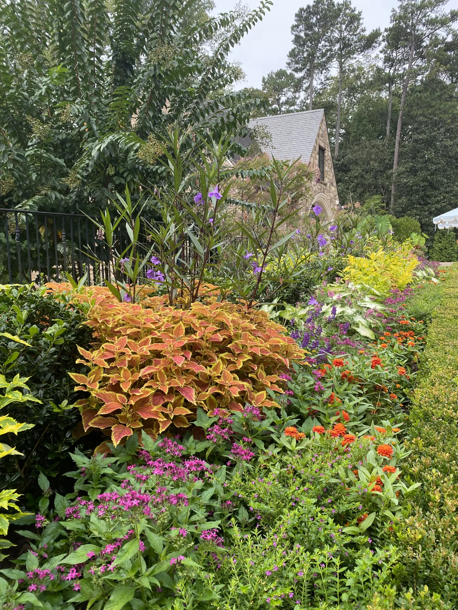 a garden with colorful flowers