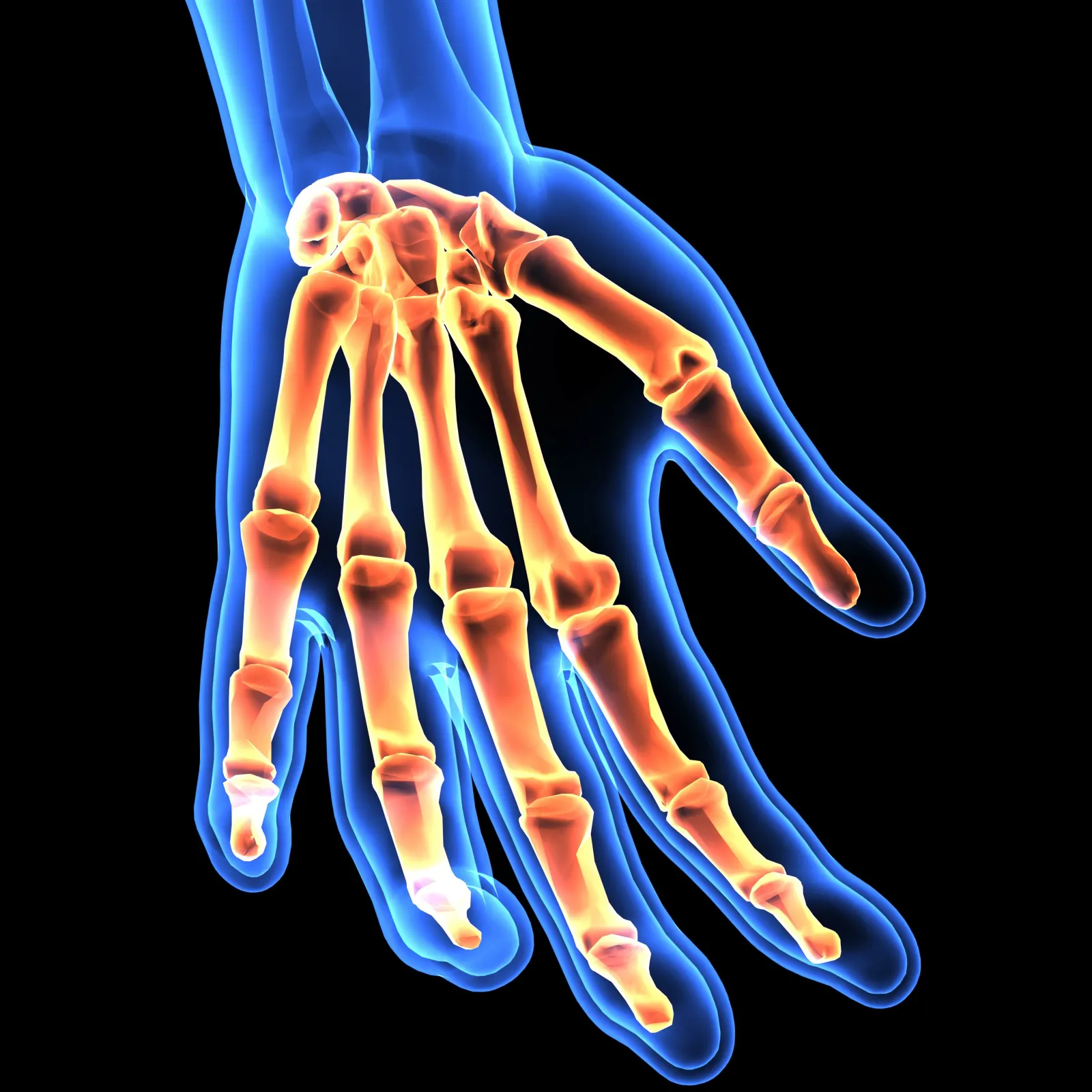 hand diagram