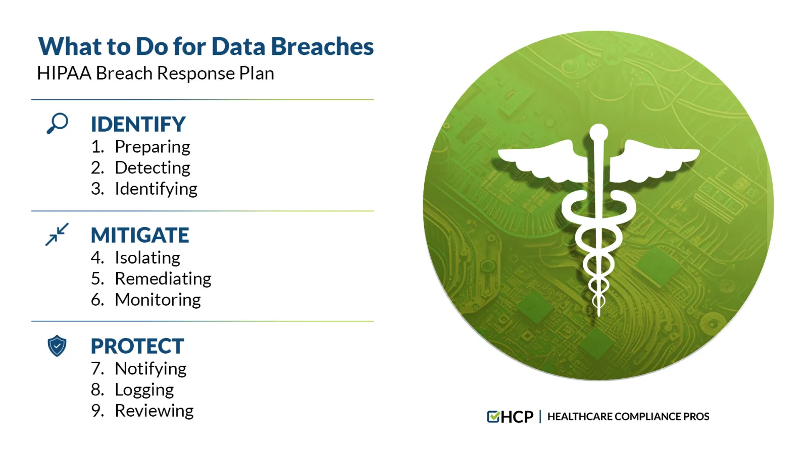 What to do for data breaches info graphic