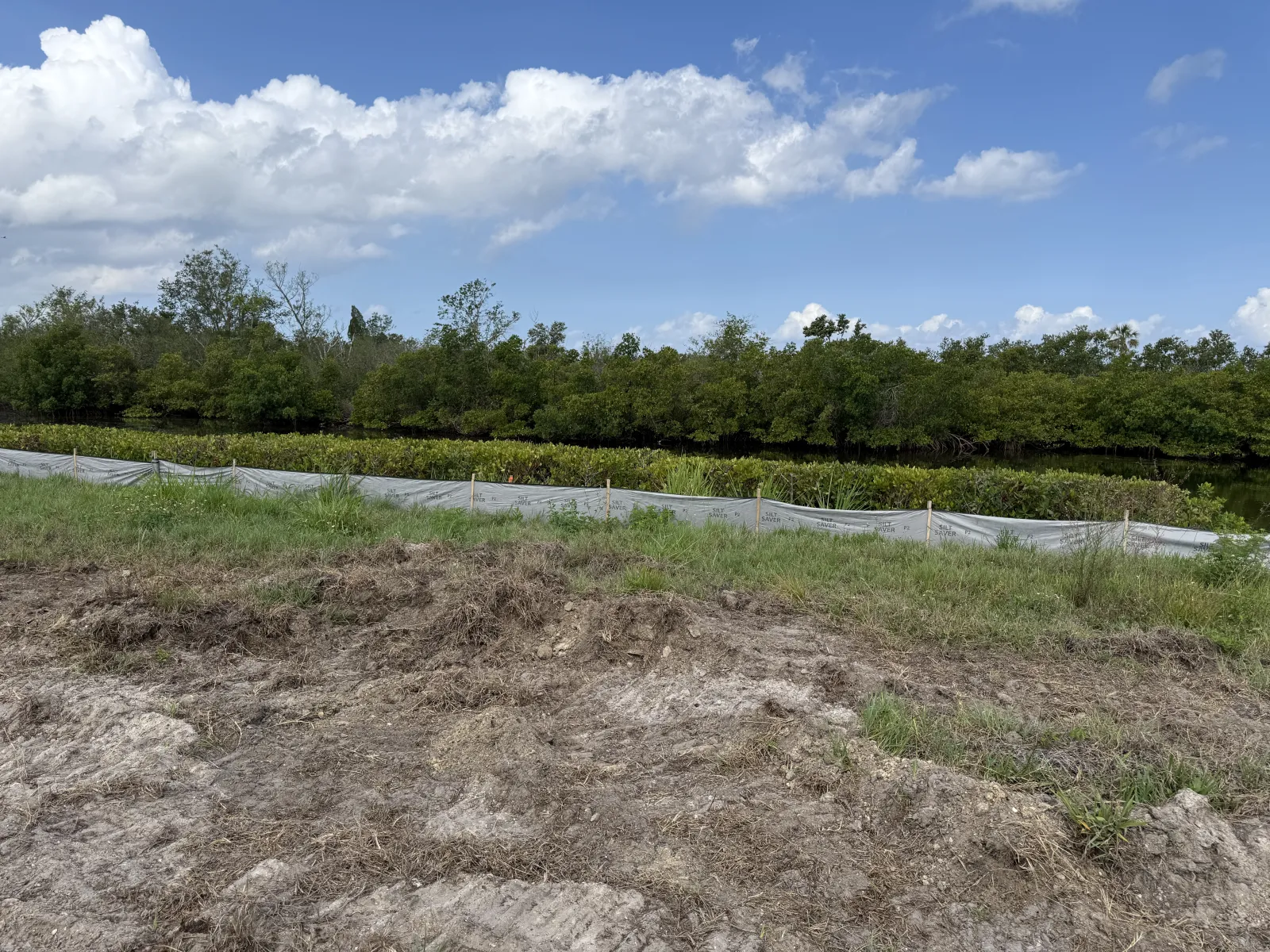 Cleared land with dirt foreground, green grassy area, white barrier fence, and dense trees under a partly cloudy blue sky.