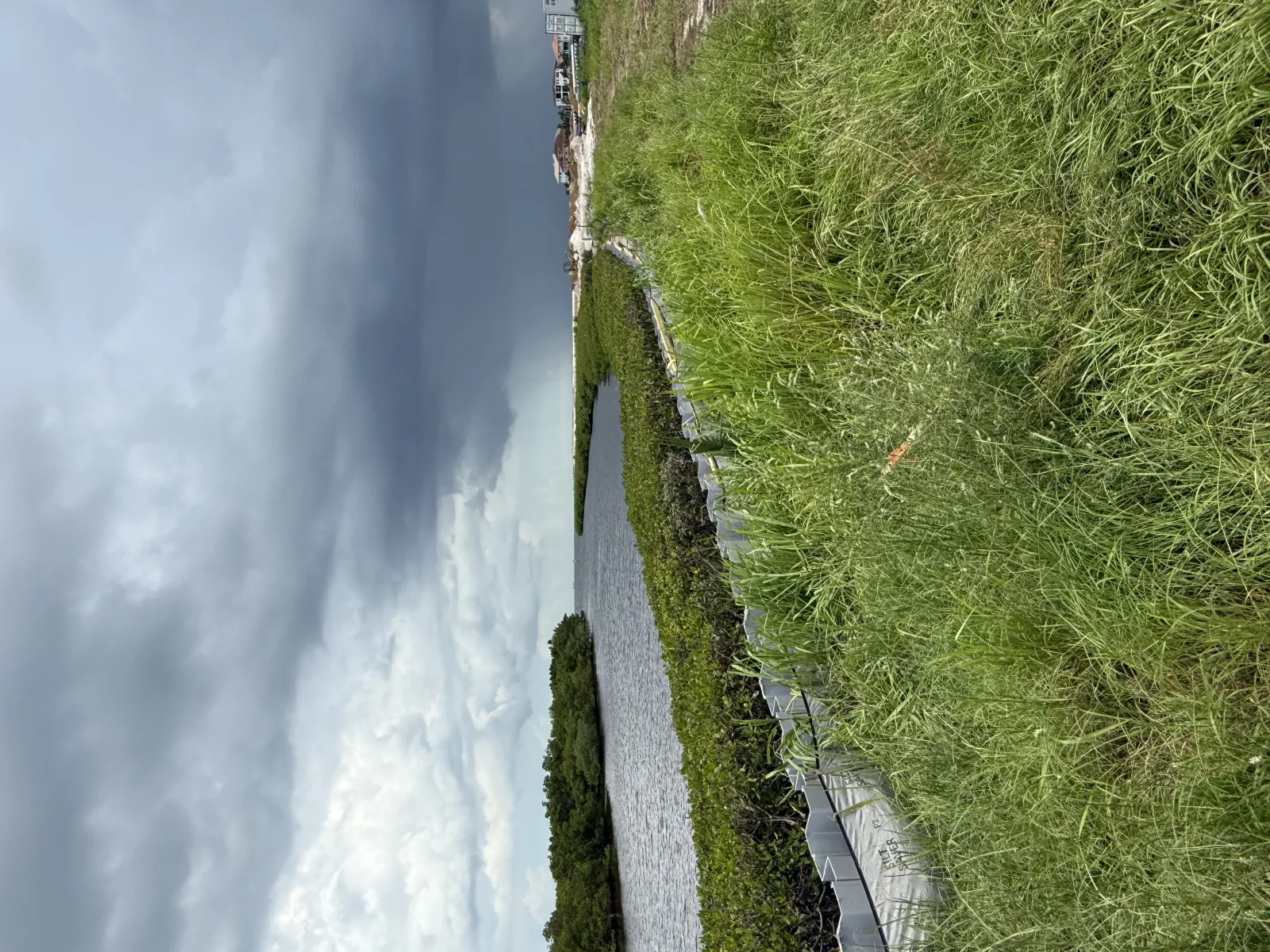 Narrow waterway bordered by green grass and plants under a cloudy sky with distant buildings.