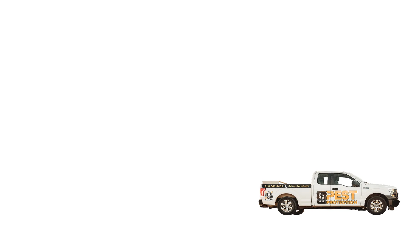 White pickup truck with Pest Protection branding parked on white background for pest control services.
