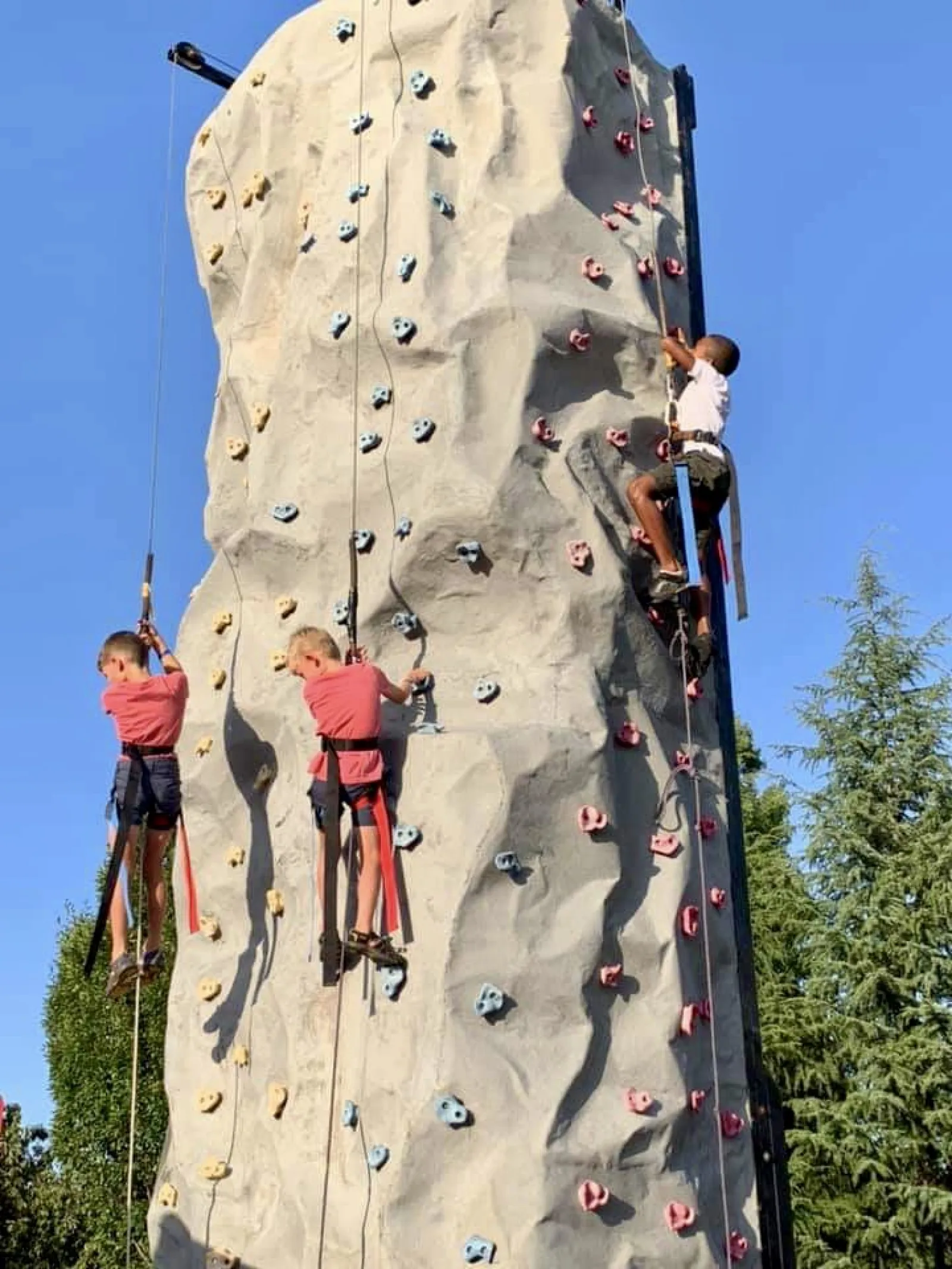 Three children climbing a tall outdoor rock climbing wall with colorful holds on a sunny day.